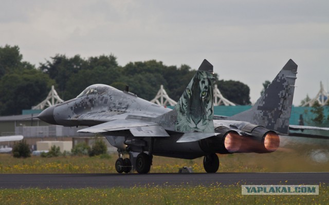 F-14 Tomcat