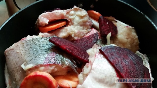 Гефилте фиш – классическая фаршированная рыба по-еврейски.