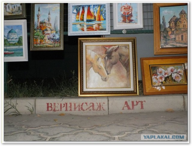 Непутёвые заметки. Поездка на Чёрное море