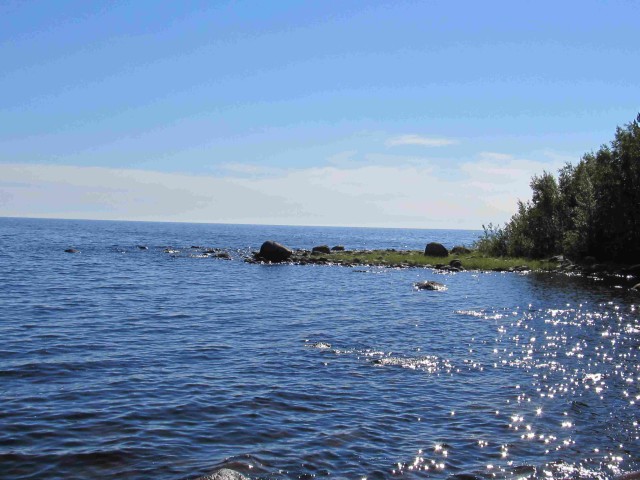 Я узнал, что у меня есть огромная семья