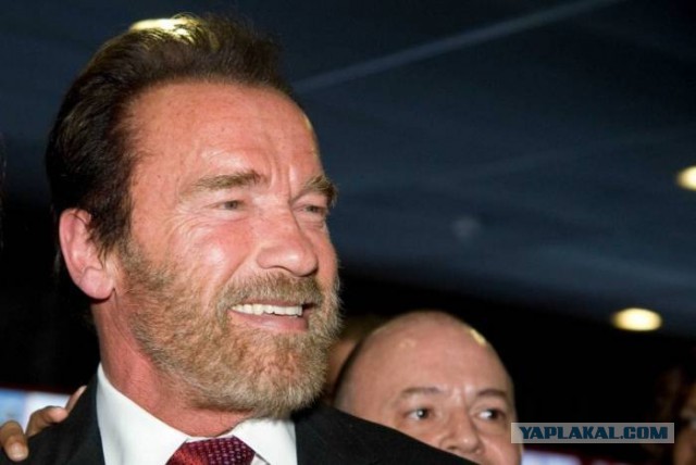 Насколько борода украшает мужчину