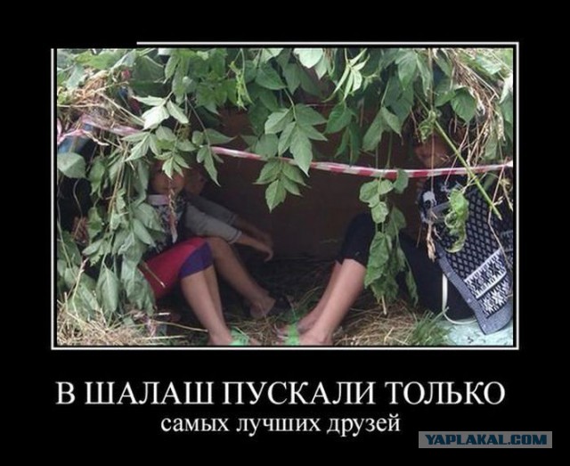 Парень из джунглей сделал себе беседку