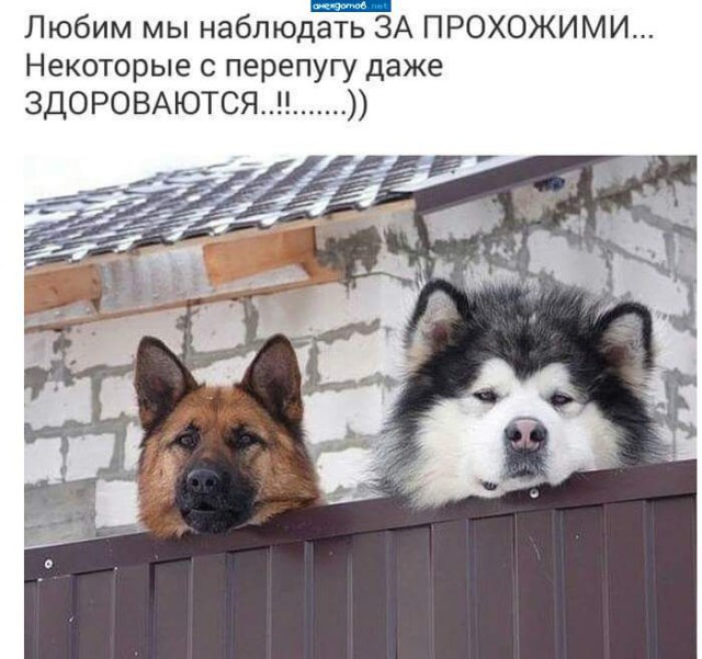 Подборка фот из этих Ваших интернетов
