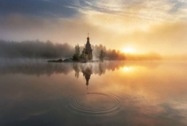 Подборка веселых и прикольных фото