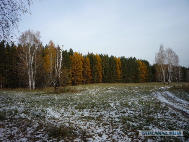 Мой родной сибирский поселок