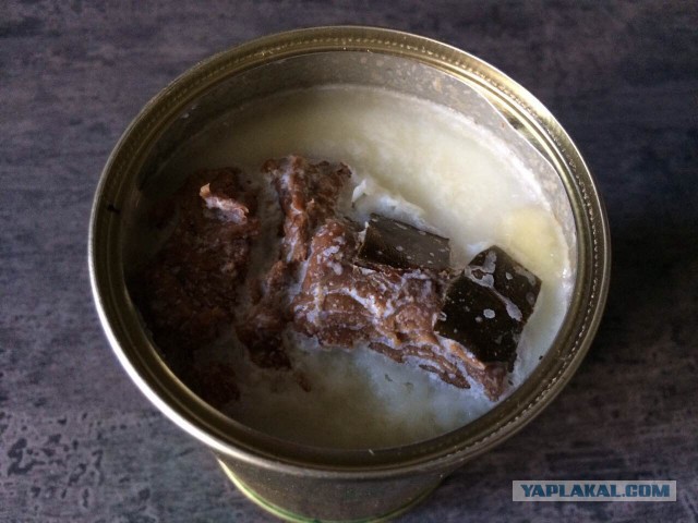 Как я сегодня не поел вкусной тушенки