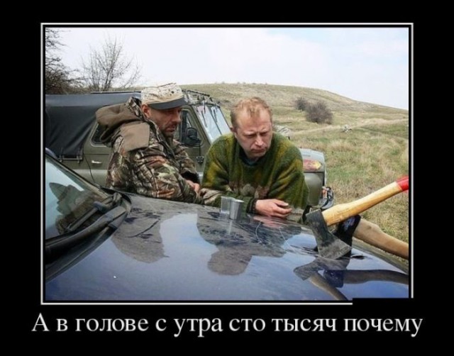 Подборка интересных и веселых картинок