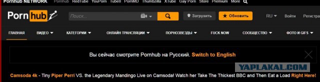 PornHub заблокируют в России