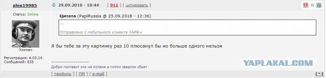 Пашкет, демотиваторы и мемы