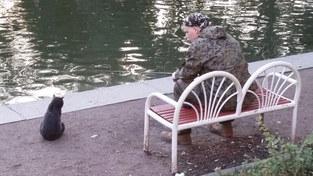 Живность из сети