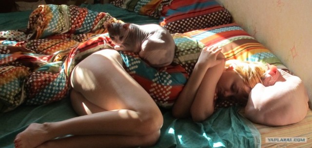 Котовторник на 26.06.12