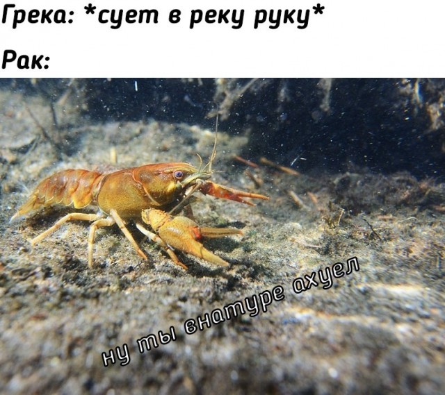 Улыбнись