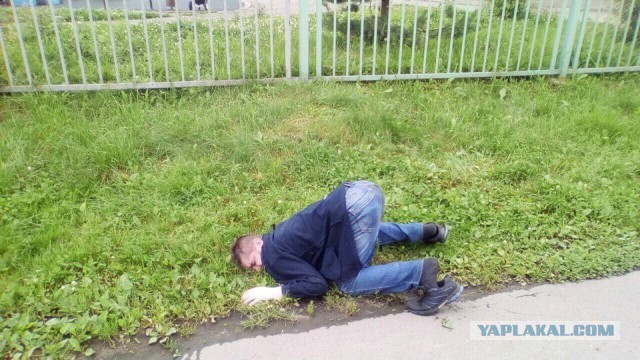 Обнаружено существо, у которого анус появляется тогда, когда оно собирается «сходить в туалет»