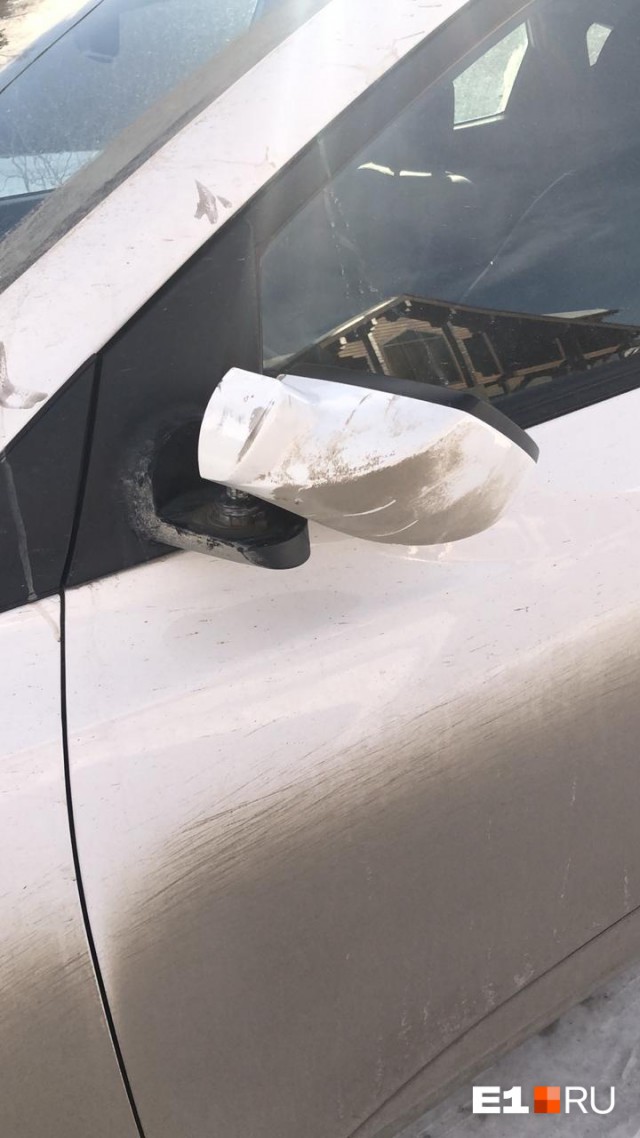 Наехала автомобилем из за собачьего говна