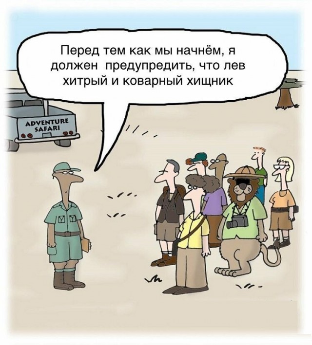 Анекдоты, соц-сети и картинки с надписями