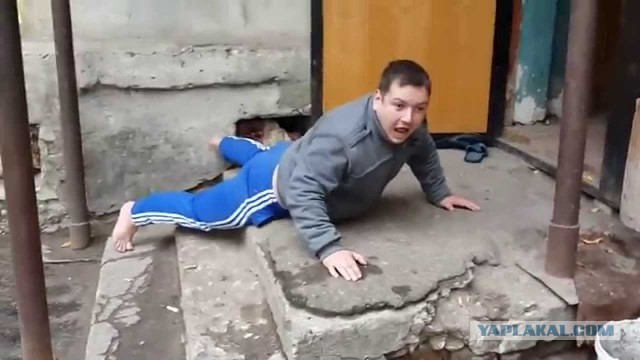 Жаба. Спайсовая. 18+