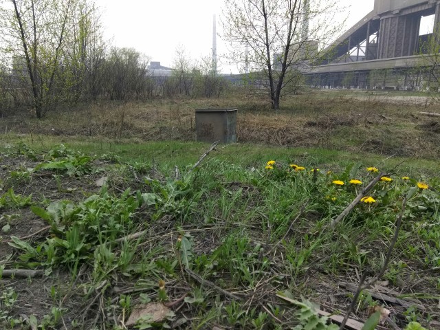 Проснулся сегодня, выглянул в окно - а там все в снегу