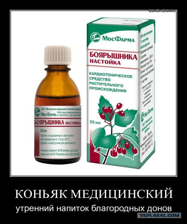 Ядовитый источник. Расследование о том, где был отравлен Алексей Навальный