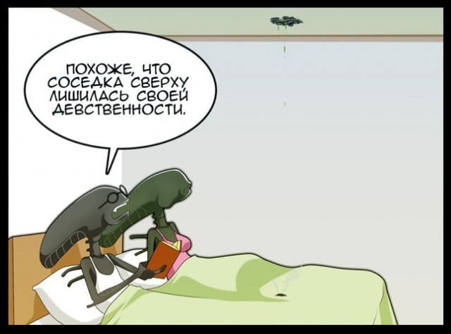 Чернушка 26.12.20