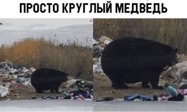 Картинки с надписями и всякие жизненные фразы 8.01.2021