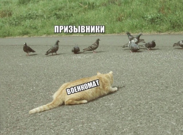 Картинки 19.01.21