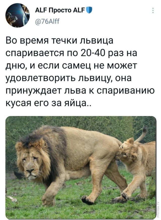 Картинки и мемы для настроения