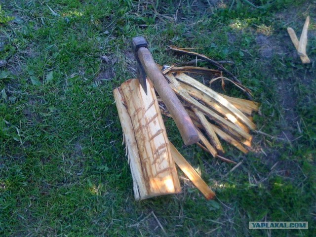 Все из рыбы!