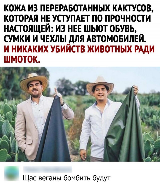 Картинки и мемы для настроения 16.06.2021