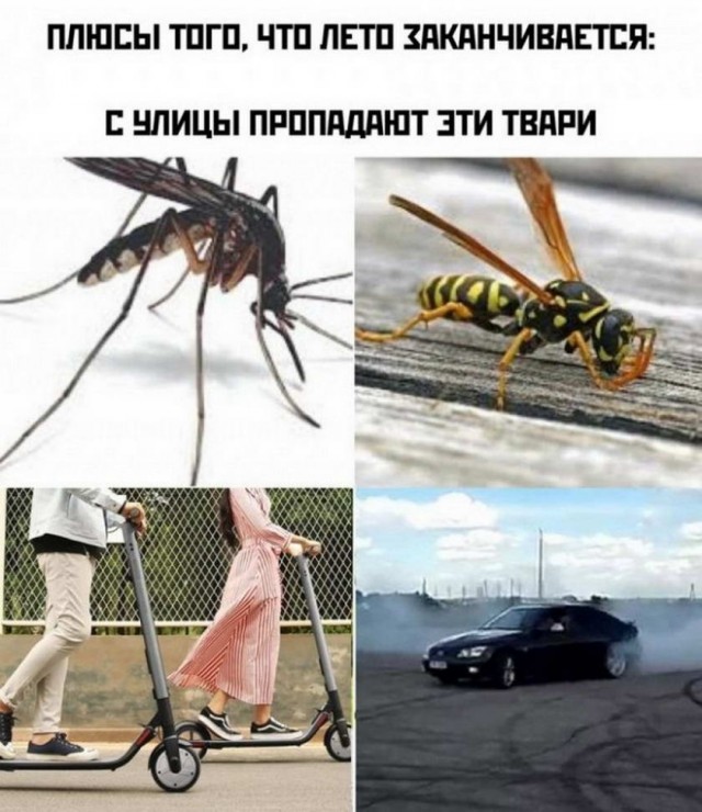 Картинки и мемы для настроения 003