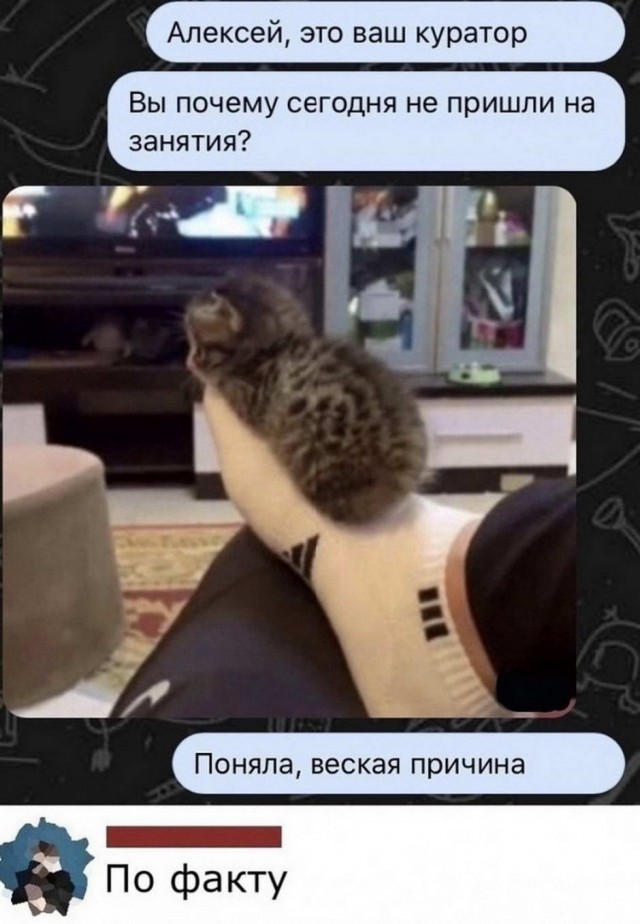 Картинки и мемы для настроения 09.06.2021