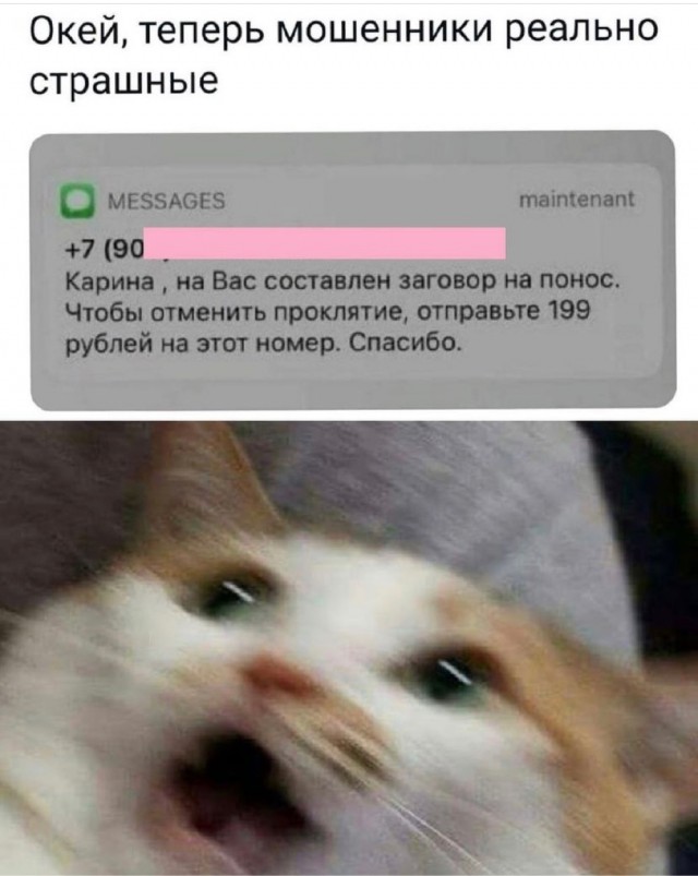Картинки и мемы для настроения
