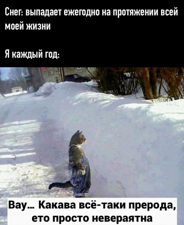 Картинки и мемы, всем прекрасных выходных