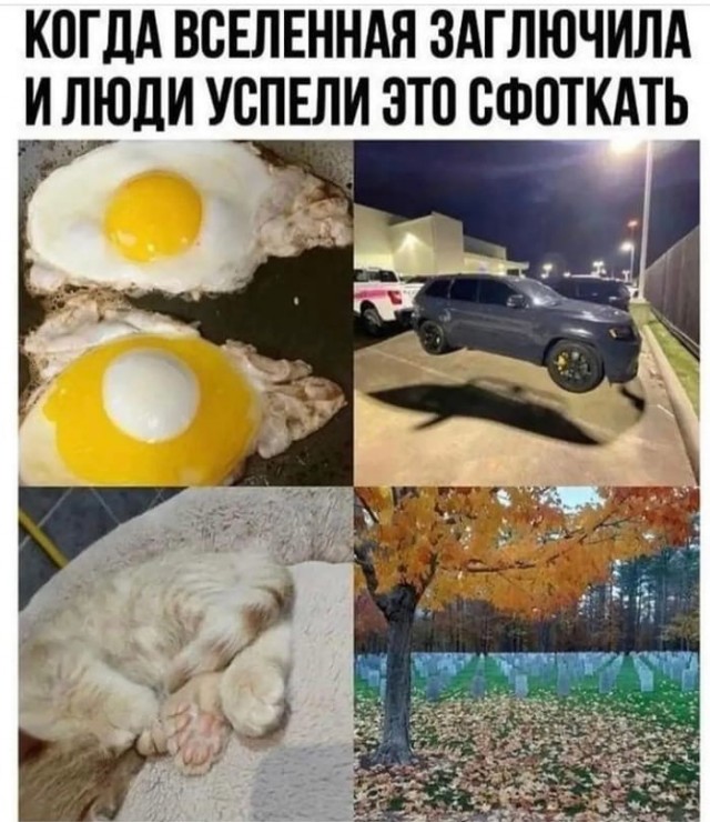 Так себе картинки 23.03.22