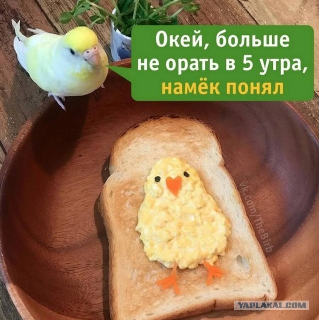 Немного юмора