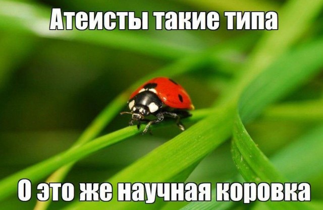 Как передаётся оспа обезьян, и кто ее распространяет?