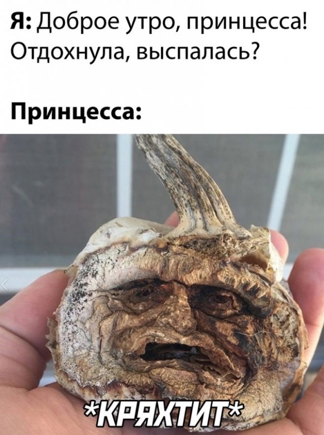 Картинки и мемы для настроения - 119