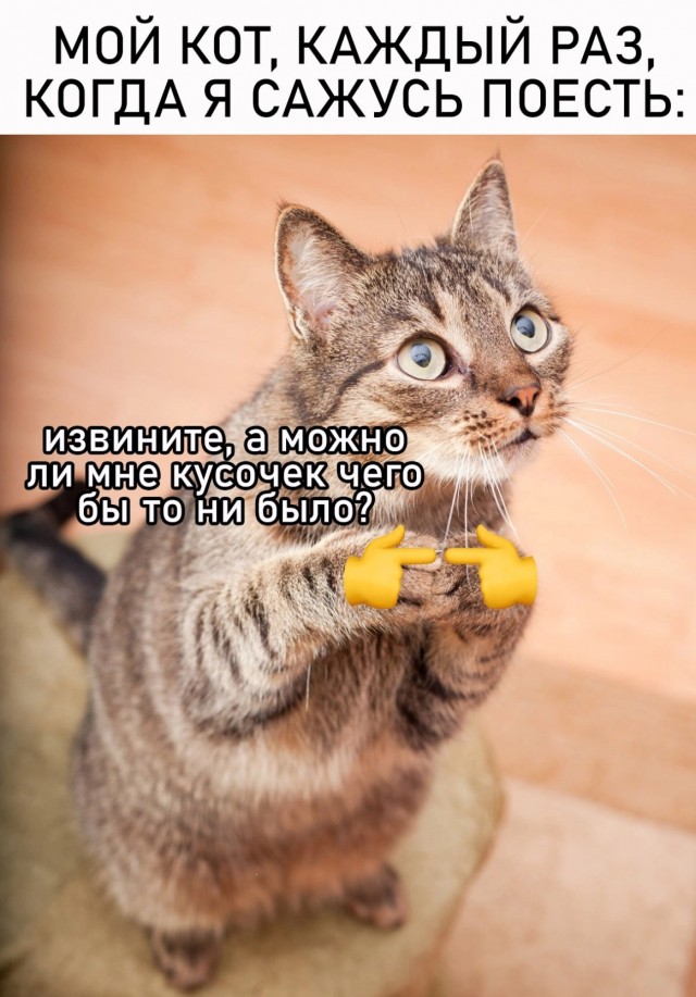 Юмор в картинках и без 19.10.2022