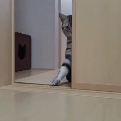 Так... И кто это сделал⁠⁠?!