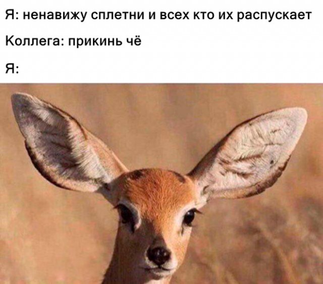 Немного картинок для настроения - 131