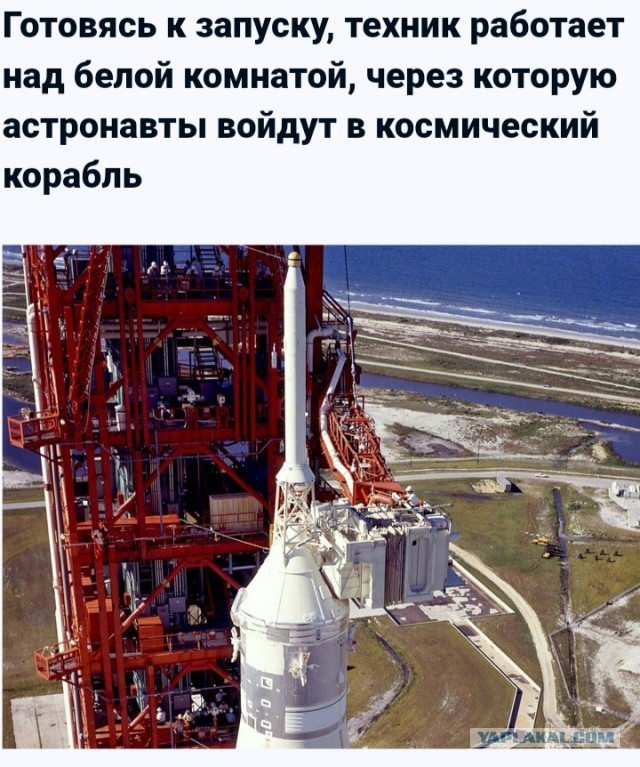 История Луноспоров