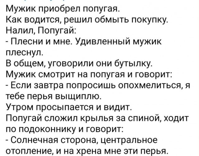Немного картинок для настроения 07.03.2023