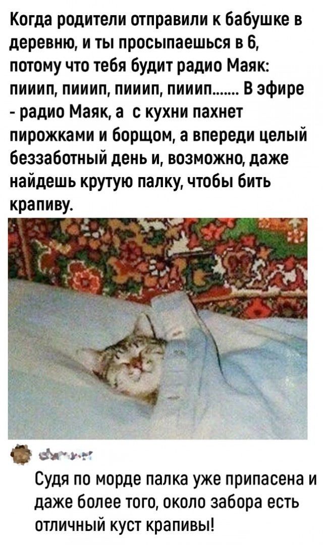 Так себе картинки 03.05.23