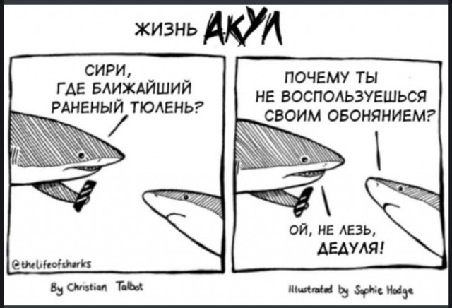 Победная поступь идиотизма по планете – том 13