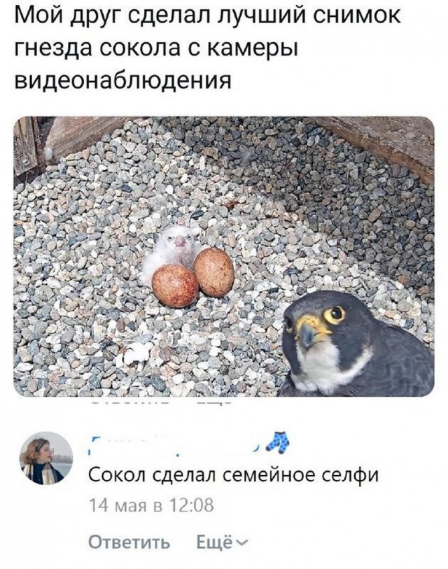 Забавные комментарии из социальных сетей (29.05.23)