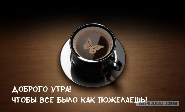 Демократия в опасности!