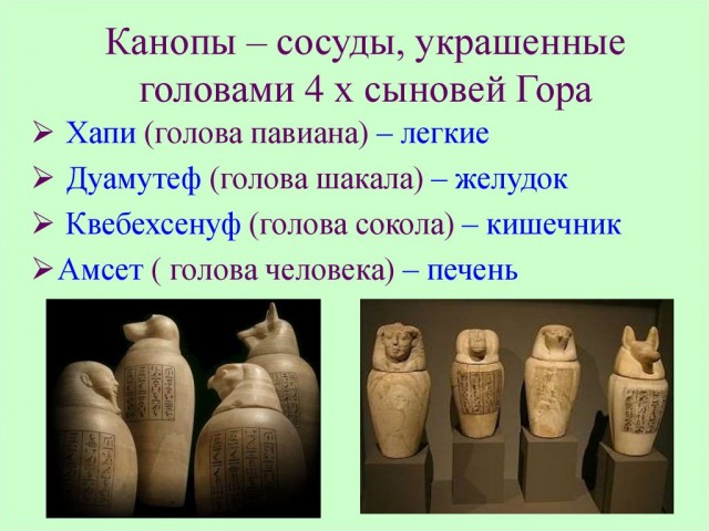 Загадка египетской мумии молодой женщины⁠⁠