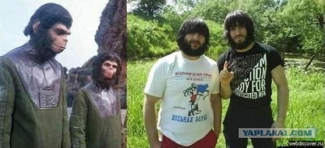 Шёл с работы, а тут..