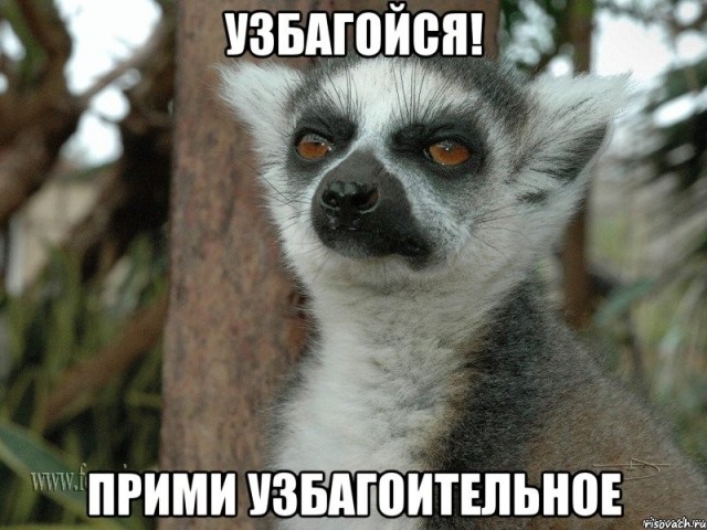 Исче бояны ЯПископаемые