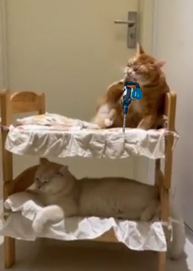 Типичный сосед сверху