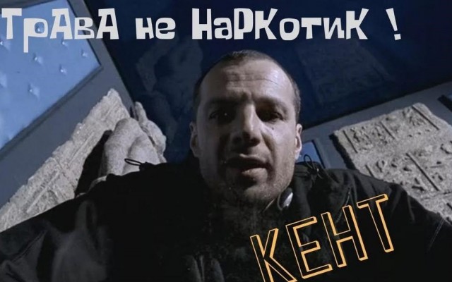 В Подмосковье задержали двух мужчин, которые устроили целую  конопляную ферму